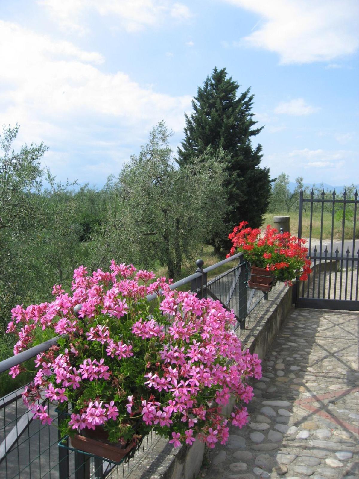 Agriturismo Villani Poderi Nesti & Cupoli Lastra a Signa Buitenkant foto
