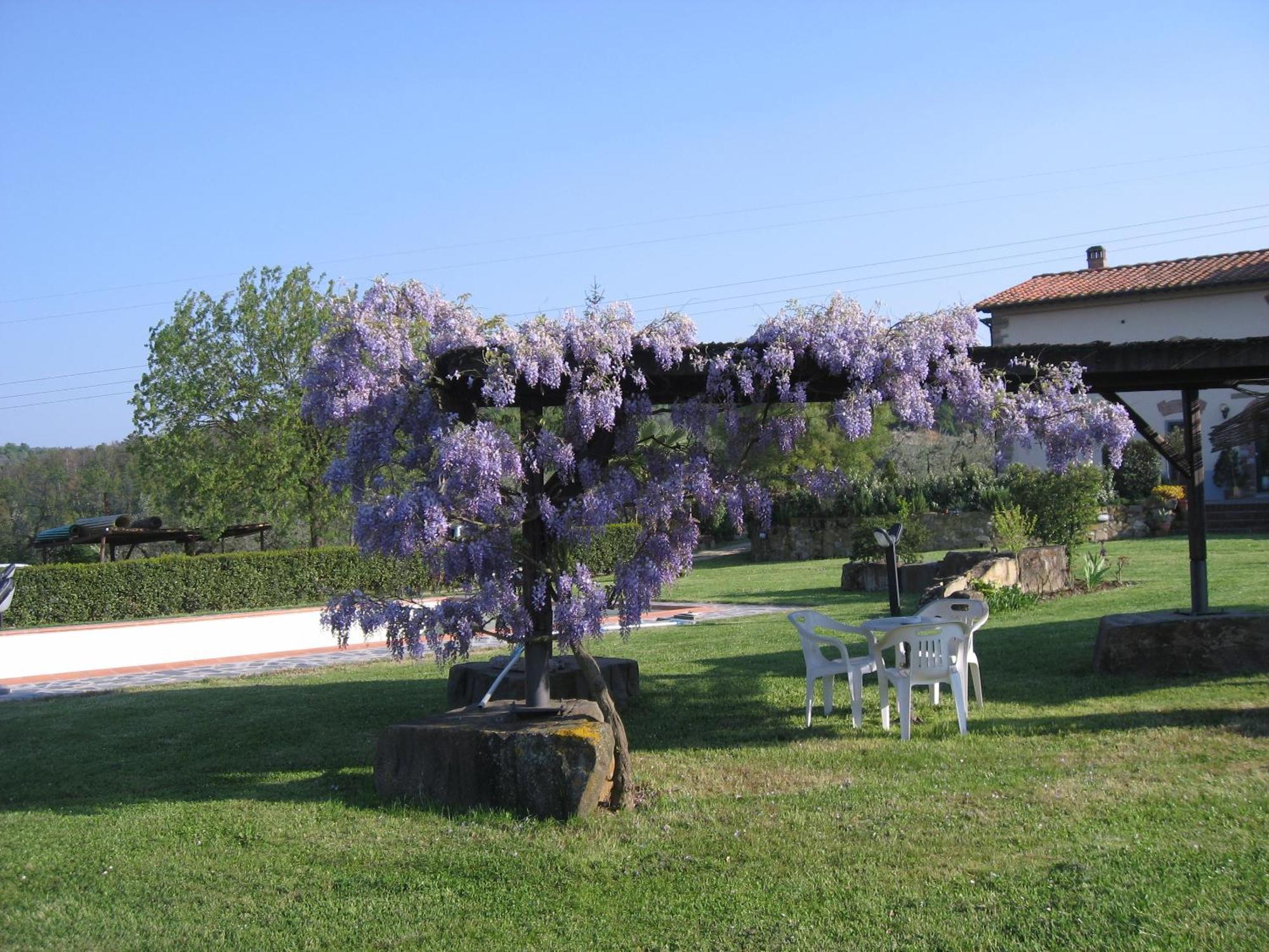 Agriturismo Villani Poderi Nesti & Cupoli Lastra a Signa Buitenkant foto