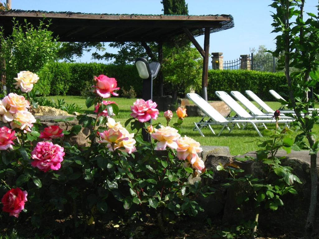 Agriturismo Villani Poderi Nesti & Cupoli Lastra a Signa Buitenkant foto